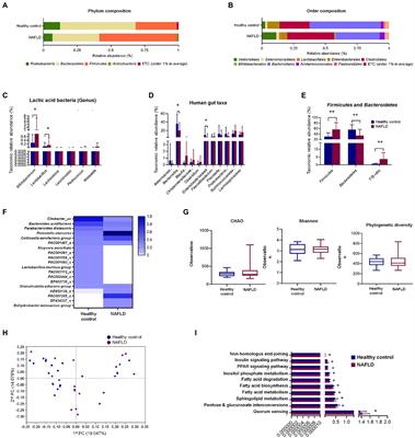 Bifidobacterium-derived short-chain fatty acids and indole compounds attenuate nonalcoholic fatty liver disease by modulating gut-liver axis